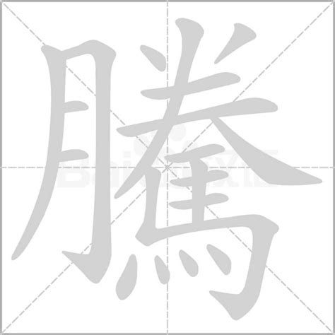 騰的意思|騰：騰的意思/造詞/解釋/注音